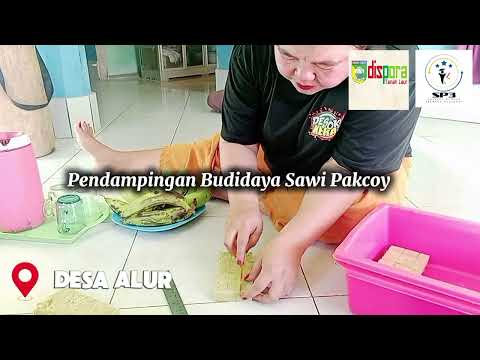 Mengubah Barang Bekas Menjadi Instalasi Hidroponik yang Produktif