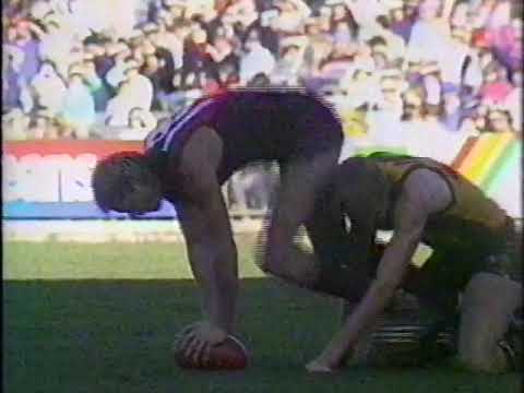 VFL Football - Round 14, 1985 - Essendon vs Hawthorn