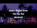 Akon - Right Now (Na Na Na) (slowed + reverb)