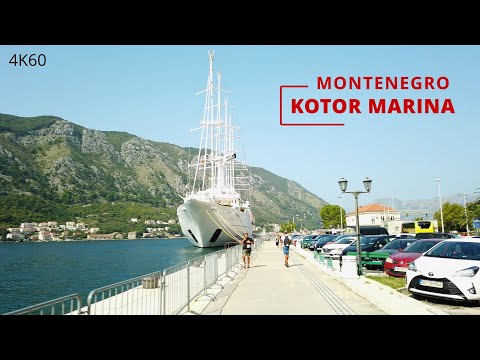🌴Kotor Central Marina🌞Montenegro🇲🇪2023🚶🏻‍♂️Walking tour📷4K60
