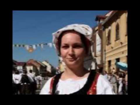 MOJE SELO - STANKO ŠARIĆ