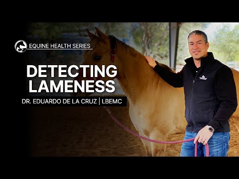 YouTube video about: How to tell if a horse is lame?