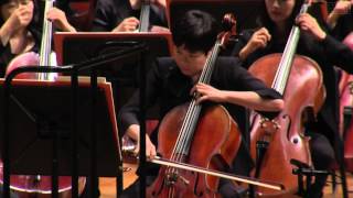 P. I. Tchaikovsky 'Swan Lake' Suite