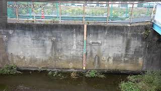 宮の橋映像監視局
