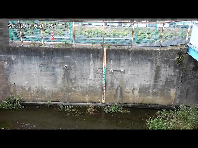 宮の橋映像監視局