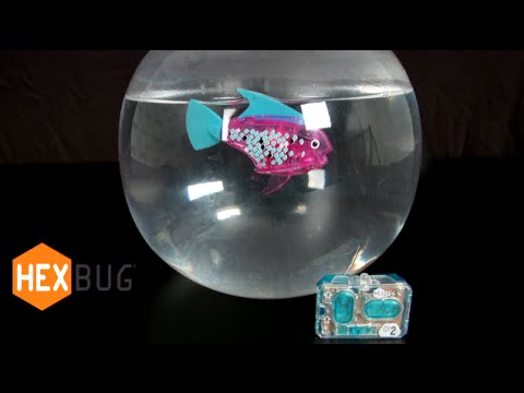 Aquabot Remote Control Angelfish from Hexbug
