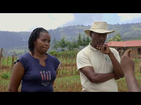 Shamba Shape Up Sn 8 - Ep 7: Onions, Layer Chicken, Fodder Crops (Swahili)