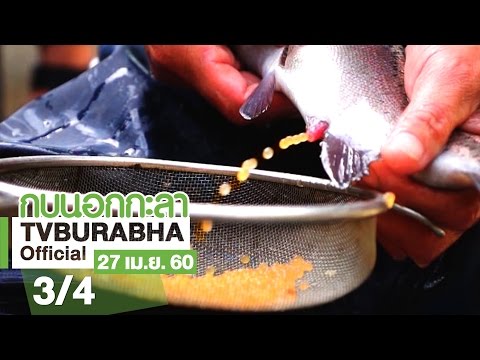 ยาเสพติดสำหรับความอ่อนแอในผู้ชายซื้อ สิ่งที่แรงแพทย์ถือว่า