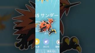 ガラルサンダー、どこにいるんだ！【ポケモンGO】