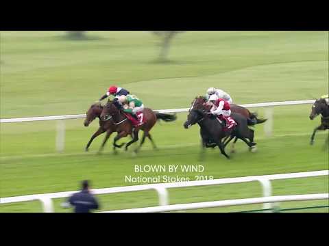 2018 Royal Ascot Contender: Blown By Wind