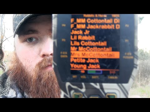 Calling in a BIG OL' BOBCAT with the Foxpro!