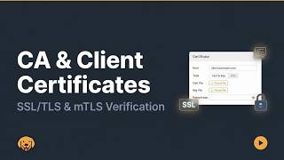How to Configure CA & Client Certificates in Bruno | SSL/TLS & mTLS | API Testin