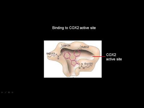 lecture 32 Pharmacophore modelling