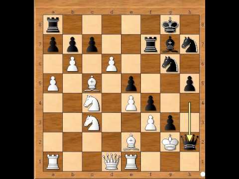 Genijalni napad na Kralja - FTACNIK vs CVITAN - Kraljeva Indijska odbrana # 711