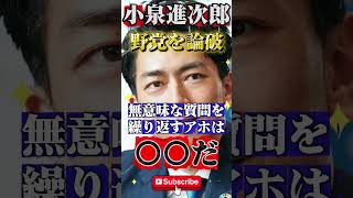 【小泉進次郎】が野党を論破してしまうw #政治 #ニュース #報道 #自民党 #高市早苗