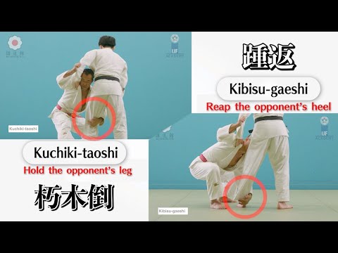 朽木倒 & 踵返 / Kuchiki-taoshi & Kibisu-gaeshi