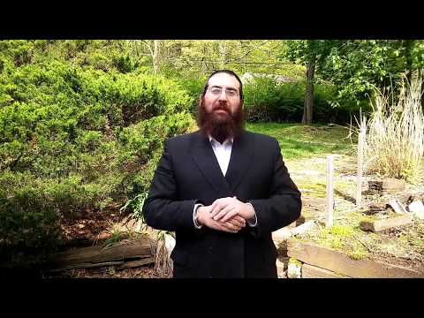 Lag B'omer 5777 - Rabbi Aryeh Royde