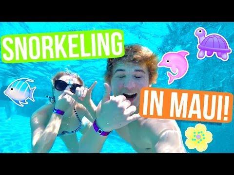 SNORKELING IN HAWAII!