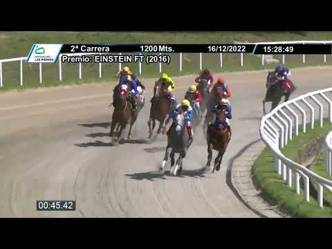 221216 c02 - MADISON REEF (ARG) - HIPODROMO LAS PIEDRAS