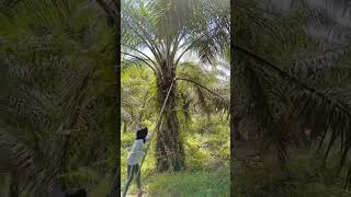 Download lagu perjuangan seorang wanita mp3 Download lagu perjuangan seorang wanita mp3