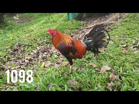 Bruce Barnett Sweater