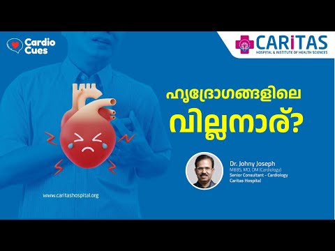Who is the villain in heart disease?