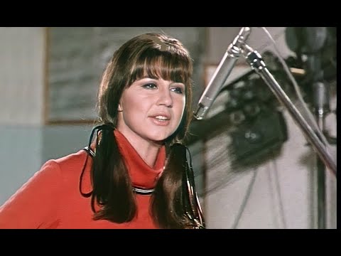 The Seekers - I'll Never Find Another You