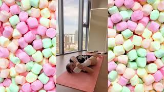 ?‍♀️ Big Bank Tiktok Challenge ? Tiktok Mashup 2024 #TikTok #Bigbank #Twerk