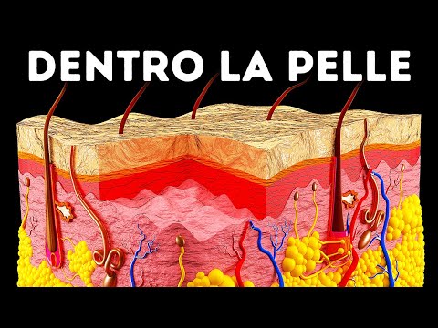 Un Viaggio Nella Pelle Umana