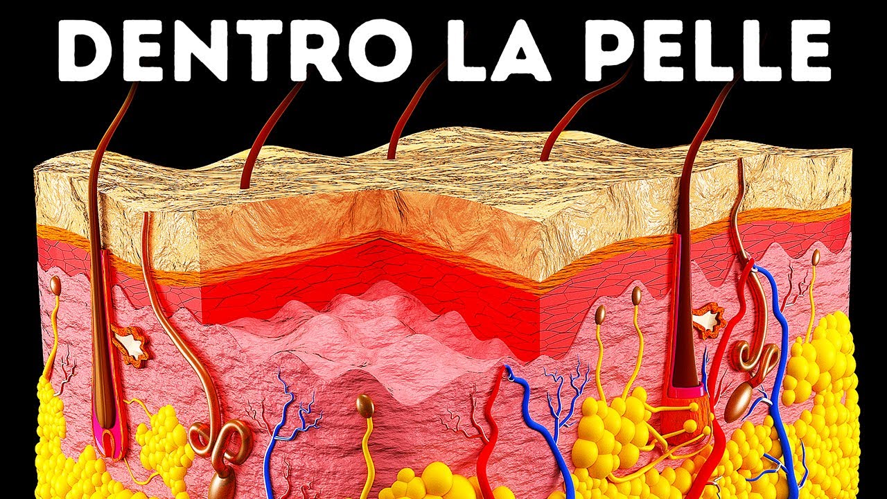 Watch Now Un Viaggio Nella Pelle Umana Un Viaggio Nella Pelle Umana