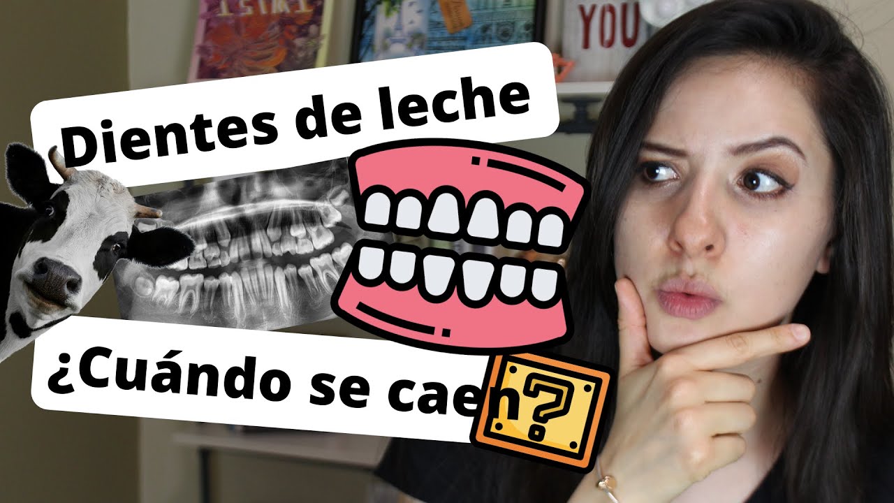 ¿A qué edad se cae el primer diente de leche