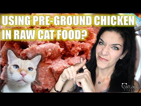 Using PRE-GROUND CHICKEN in Raw Cat Food: Is it okay? - Cat Lady Fitness