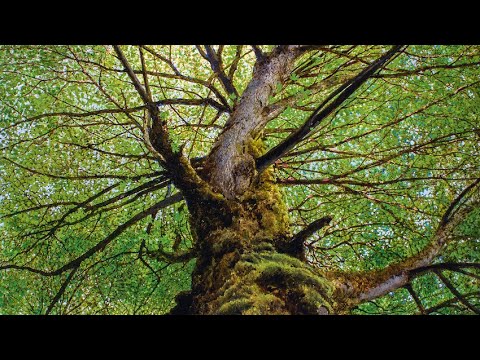 Closing Remarks & Call to Action