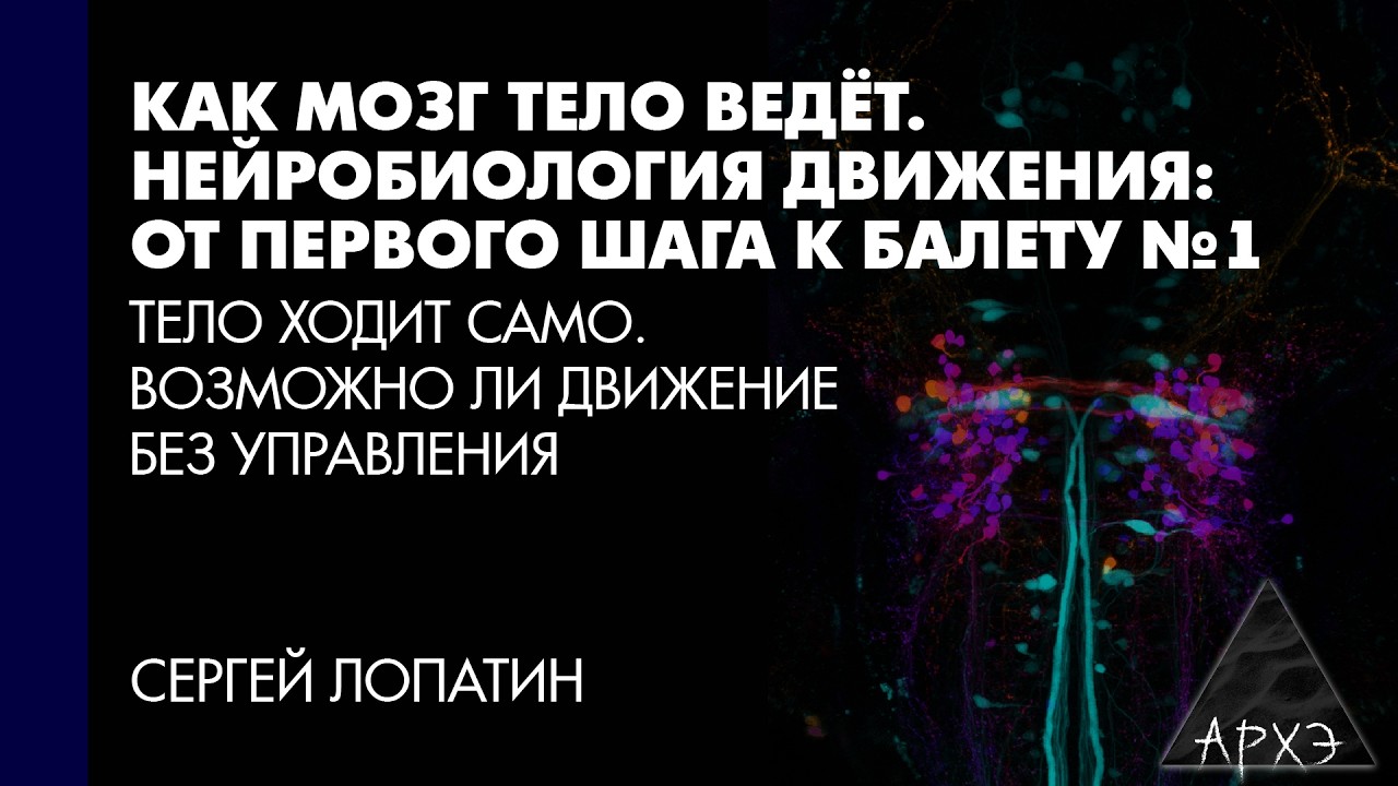 Сергей Лопатин: Тело ходит само. Возможно ли движение без управления (Л.1)