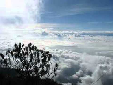 Grande y maravillosas son tus obras /Omar Salcedo