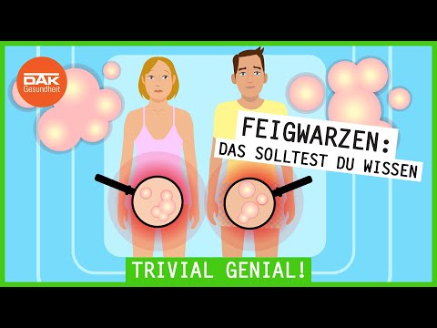Was sind Feigwarzen? | #trivialgenial | DAK-Gesundheit