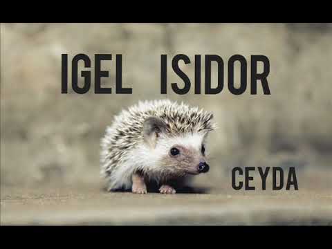 Igel Isidor 🦔 Ceyda-O 🦔 Kinderlied
