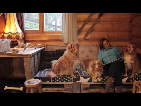 DogLogHomes - Hunde-Paradies-Urlaub im Blockhaus, Kamin, WLAN, Zaun - Österreich, Salzburgerland