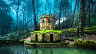 Yoshida Brothers - Madrugada