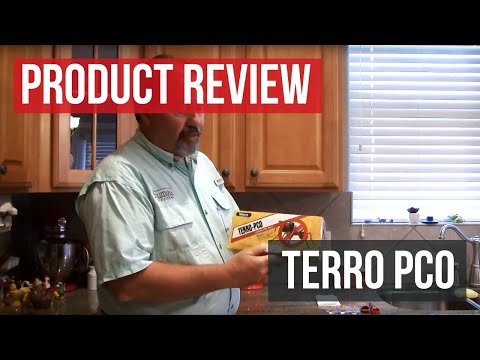 Terro PCO Ant Bait Stations Review Guide