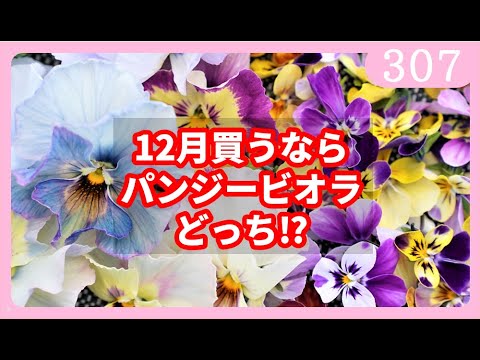 ブリエールについて詳しく解説