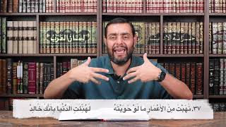 صورة كرسي المتنبي (شرح ديوان المتنبي) - حلقة (١٤٦) - أيمن العتوم