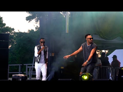 Baby Cham Live Performance | 90’s Dancehall With Wayne Wonder | Rise Up Nyc Bronx | 2024