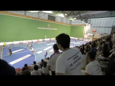 VIVEROS HEROL BALONMANO NAVA - CONSERVAS ALSUR ANTEQUERA