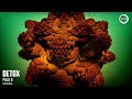 Detox Polo G Instrumental