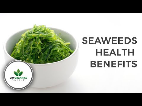 download lagu mp3 mp4 Buy Organics Online, download lagu Buy Organics Online gratis, unduh video klip Buy Organics Online