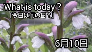 【What is today?】今日は何の日?(0610)|YouTube掲示板《ヒントストック》