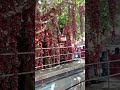 Kattil Mekkathil Devi Temple Chavara Kollam ഓരോ മണിയും ഓരോ സ്വപ്�