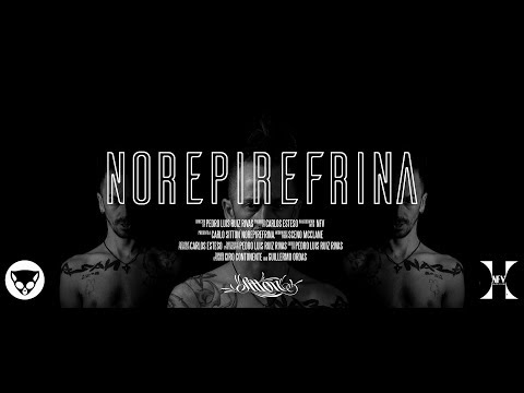 Norepinefrina
