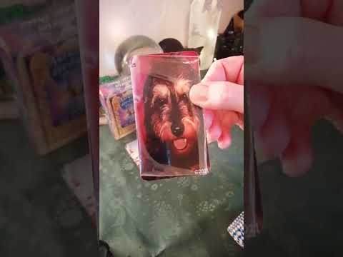 Wochenbotschaft für Mittwoch, 09.11., bis Montag, 14.11.22 💖🐈